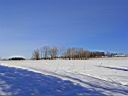 Pdr_0052.jpg