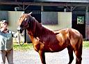 cesar2.bmp